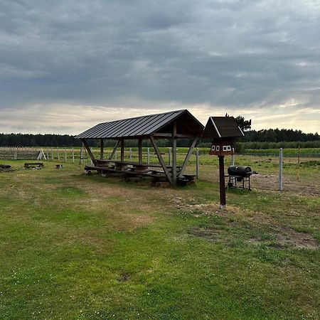 Zamieszkaj Na Wsi Blisko Warszawy Villa Borucza ภายนอก รูปภาพ
