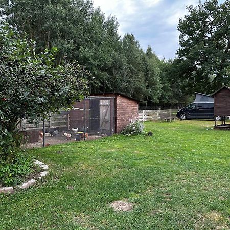Zamieszkaj Na Wsi Blisko Warszawy Villa Borucza ภายนอก รูปภาพ